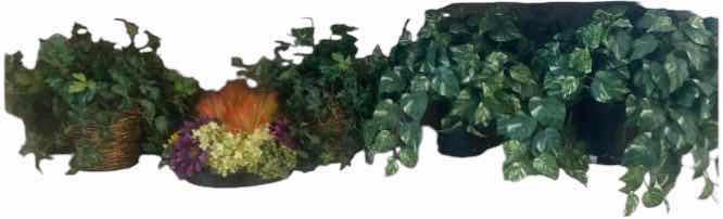 Photo 1 of ARTIFICIAL PLANTS & FLORAL (5)
