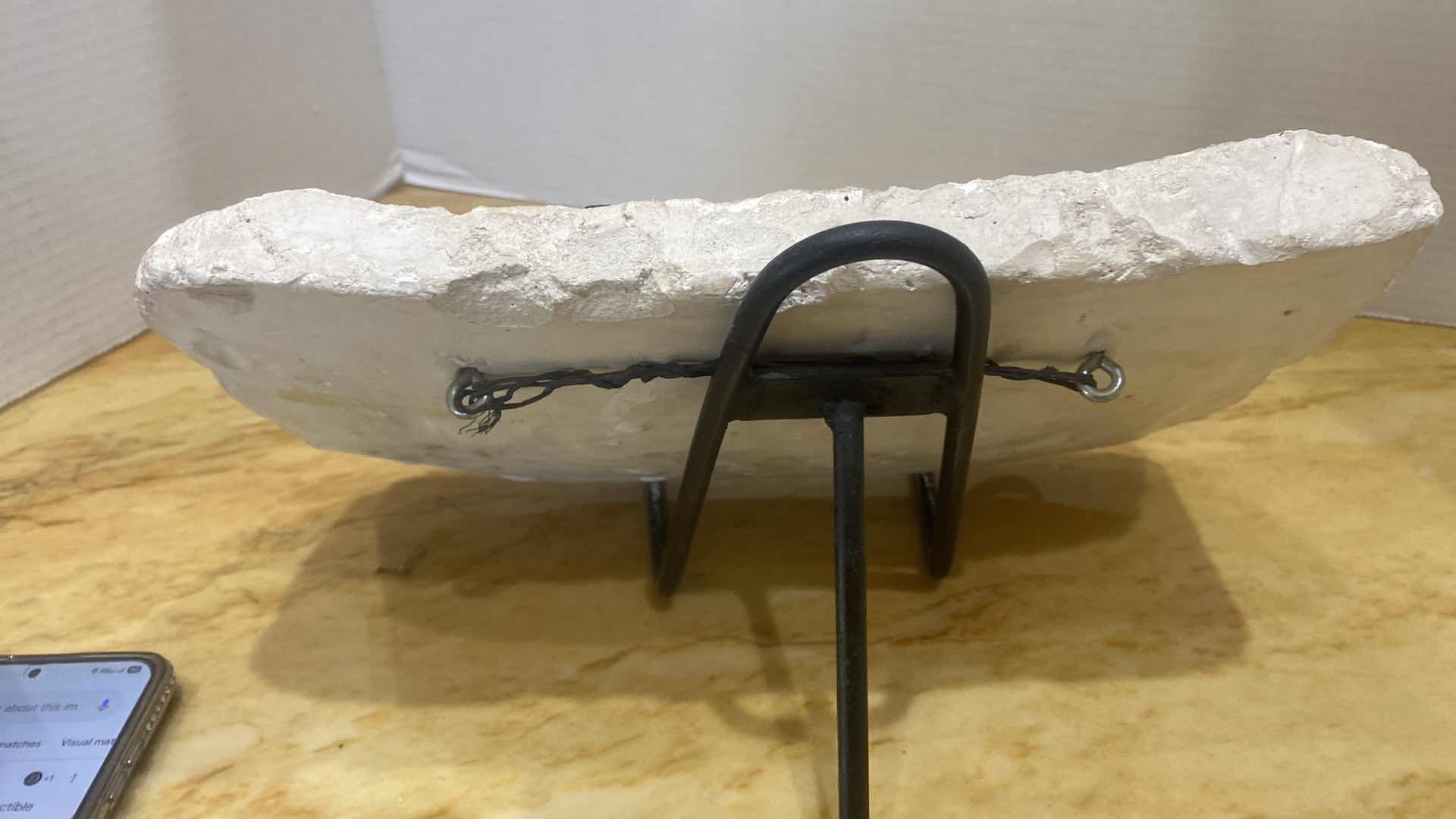 Photo 1 of FOSSIL SPECIMEN ON A STONE MATRIX 12” X 7”