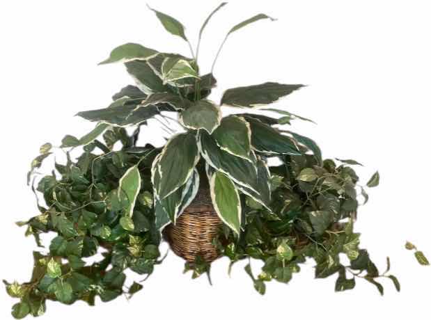 Photo 1 of 3-ARTIFICIAL PLANTS TALLEST H34”