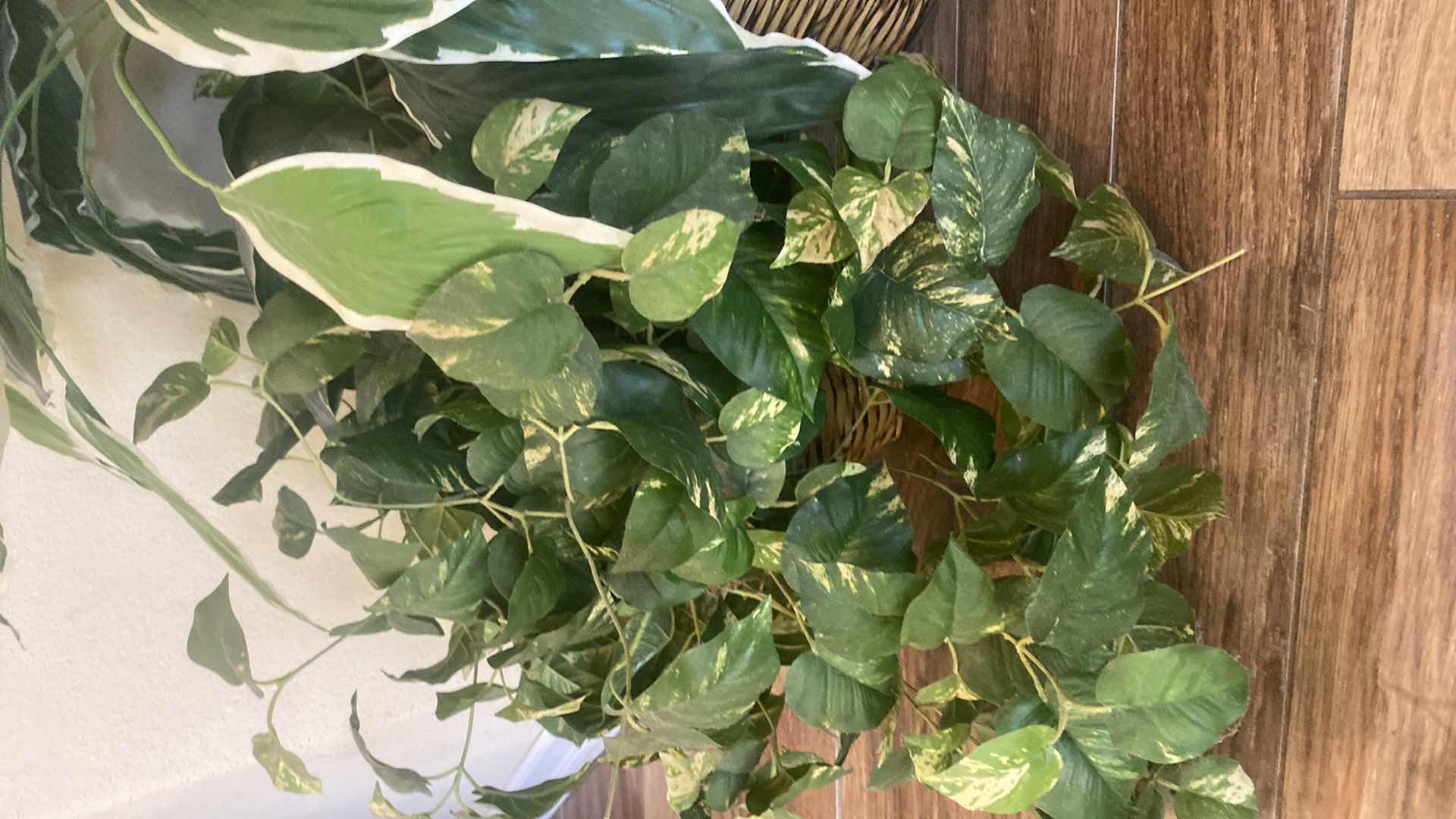 Photo 1 of 3-ARTIFICIAL PLANTS TALLEST H34”