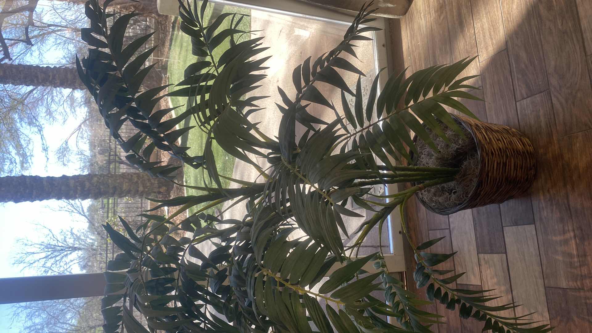 Photo 1 of ARTIFICIAL PALM TREE H52”