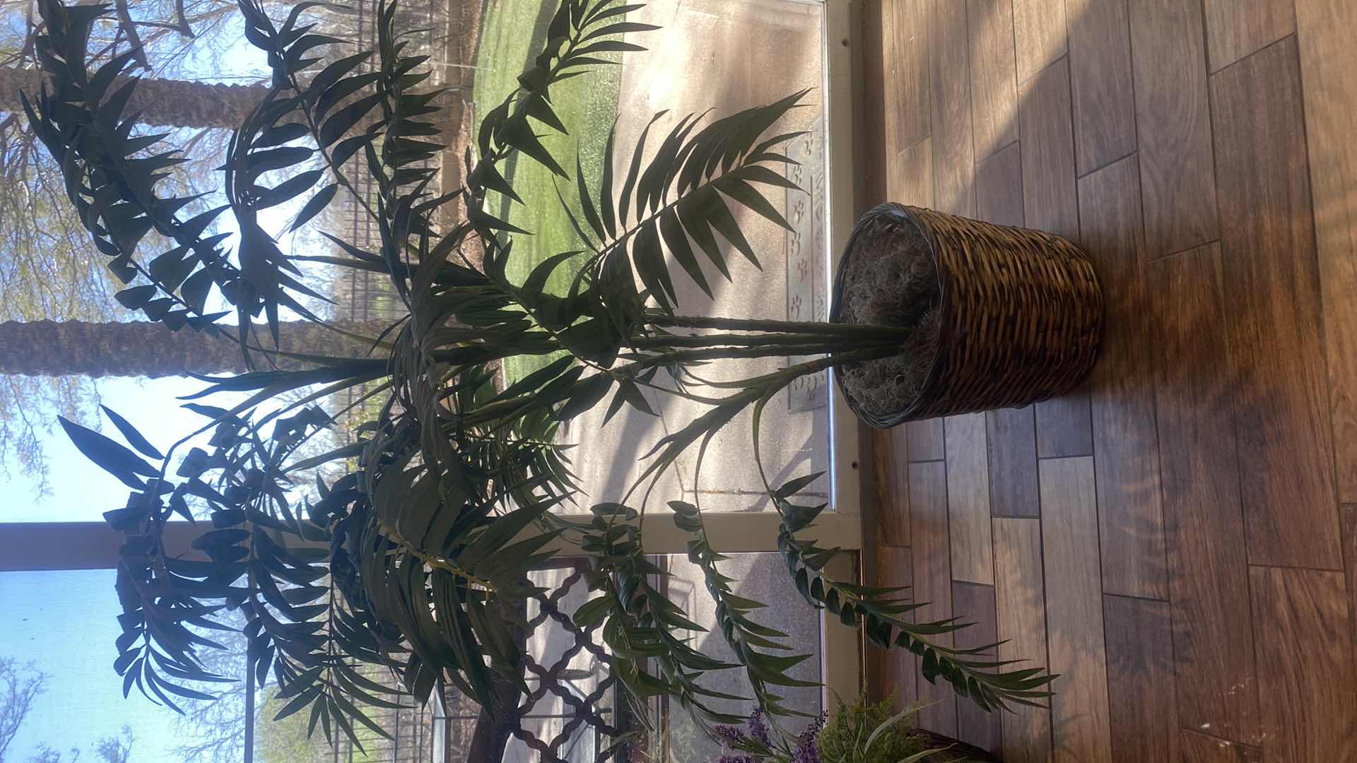 Photo 1 of ARTIFICIAL PALM TREE H52”