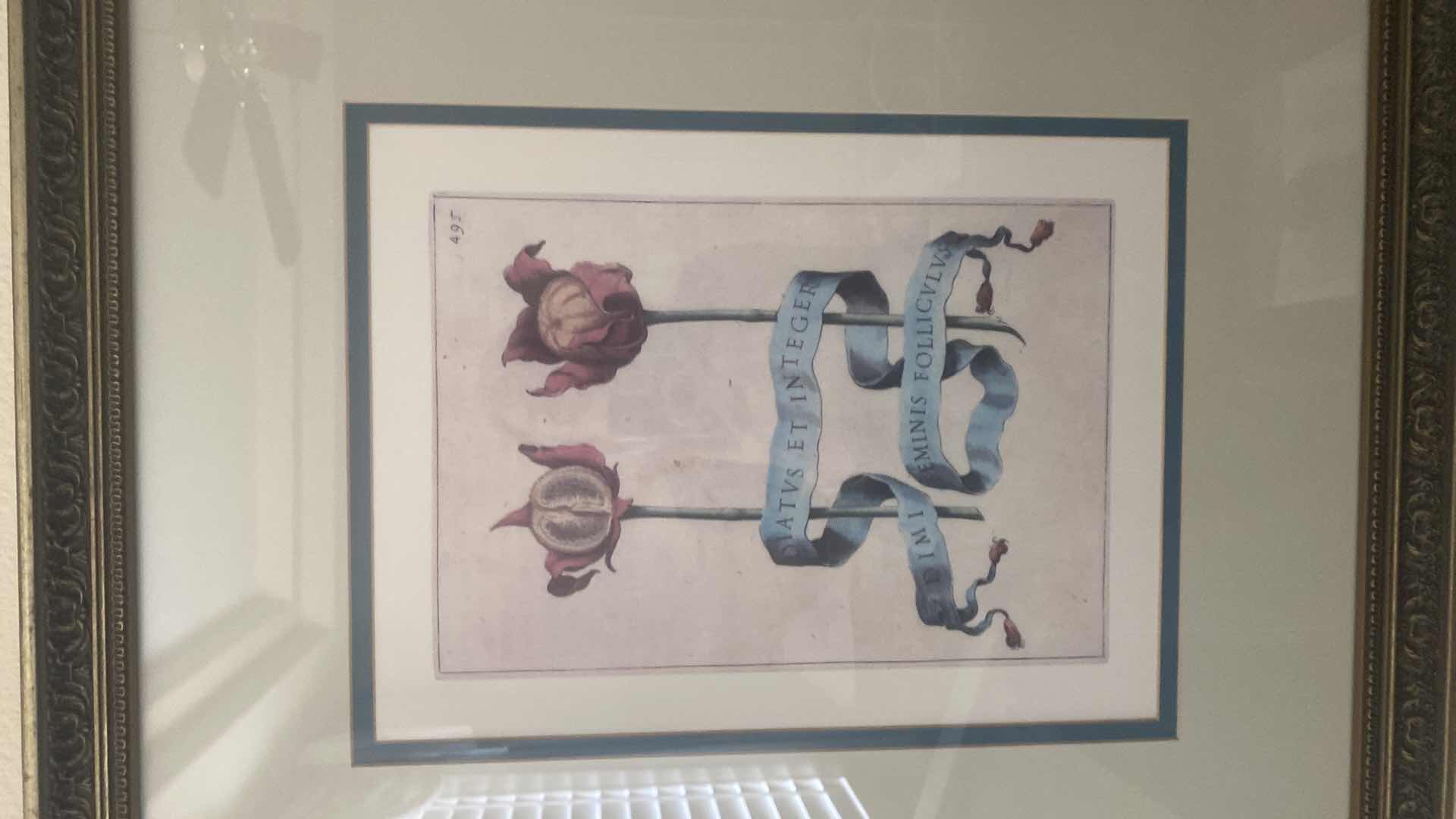 Photo 1 of GOLD & BLACK FRAMED, BOTANICAL ARTWORK PRINTS 21“ X 24 1/2“