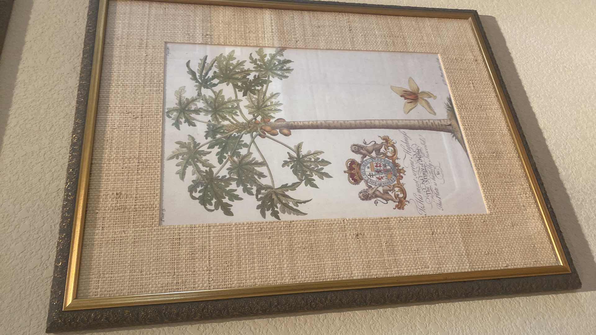 Photo 1 of 2-FRAMED BOTANICAL PRINTS OF PAPAYA TREE AND PALM TREE ARTWORK 21“ X 28“