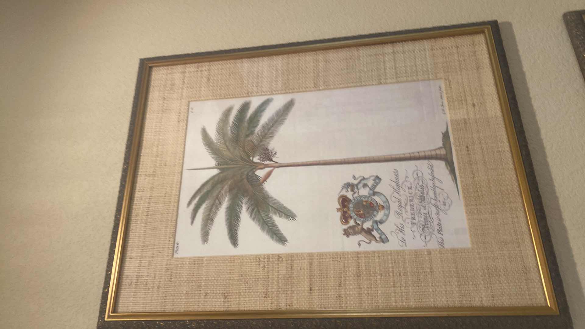 Photo 1 of 2-FRAMED BOTANICAL PRINTS OF PAPAYA TREE AND PALM TREE ARTWORK 21“ X 28“