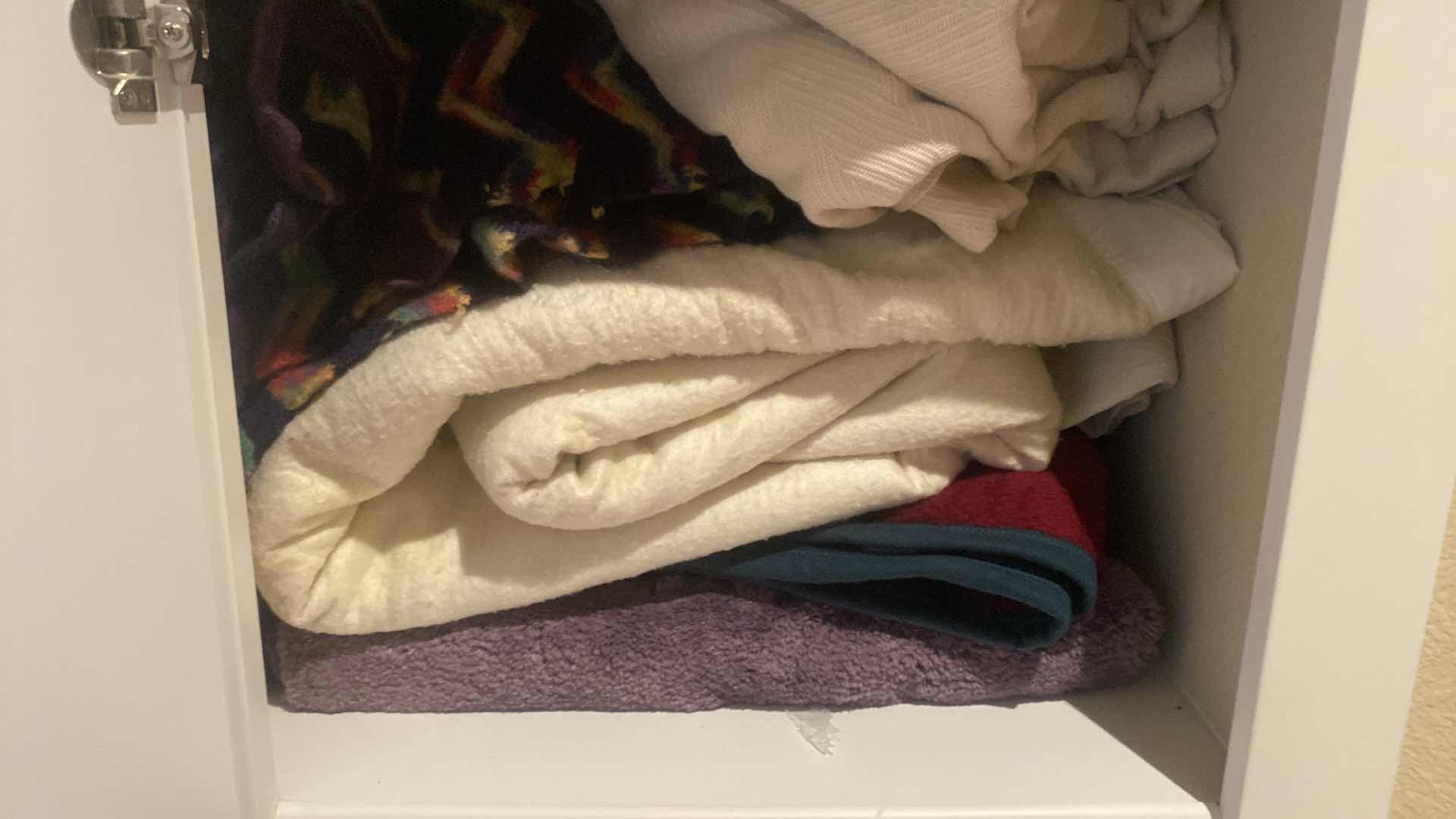 Photo 1 of CONTENTS OF LINEN CABINET - BLANKETS AND RUGS