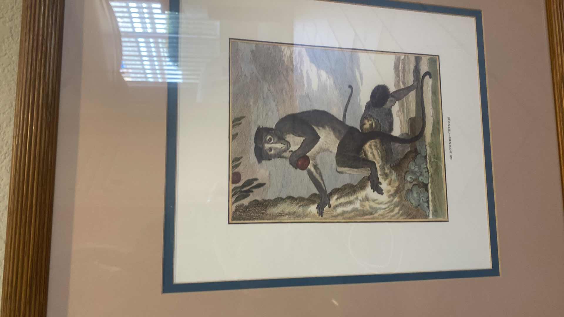 Photo 1 of 2-WOOD FRAMED PRIMATE PRINTS ARTWORK 22” X 24 1/2”