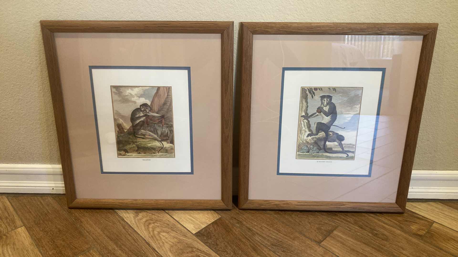 Photo 1 of 2-WOOD FRAMED PRIMATE PRINTS ARTWORK 22” X 24 1/2”