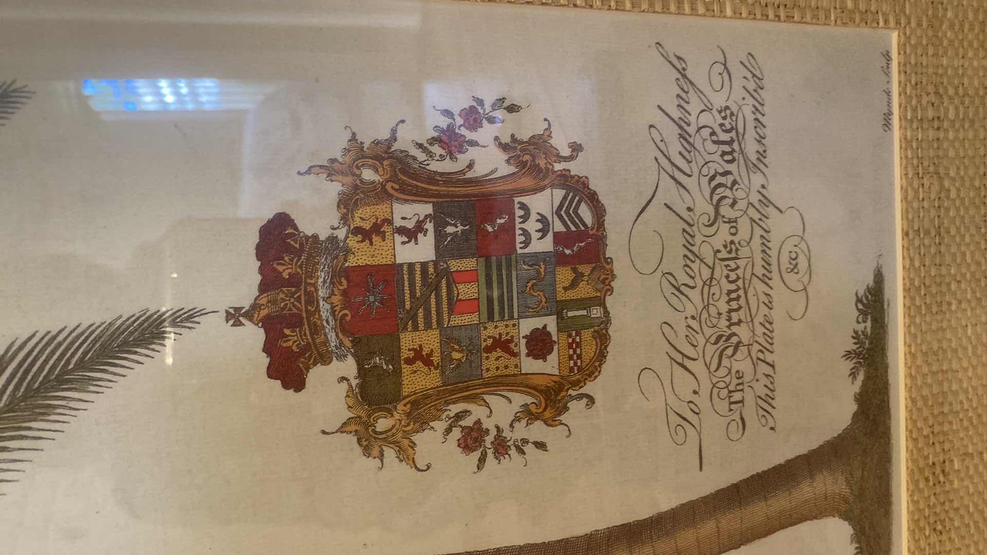 Photo 1 of FRAMED PALM TREE PRINT ARTWORK 21“ X 28 1/2“