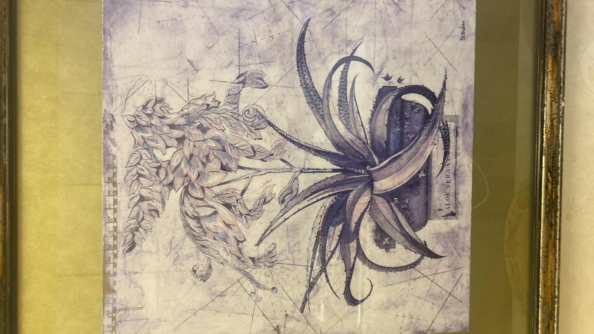 Photo 1 of FRAMED BOTANICAL IN POT PRINT ARTWORK 30 1/2” X 30 1/2”