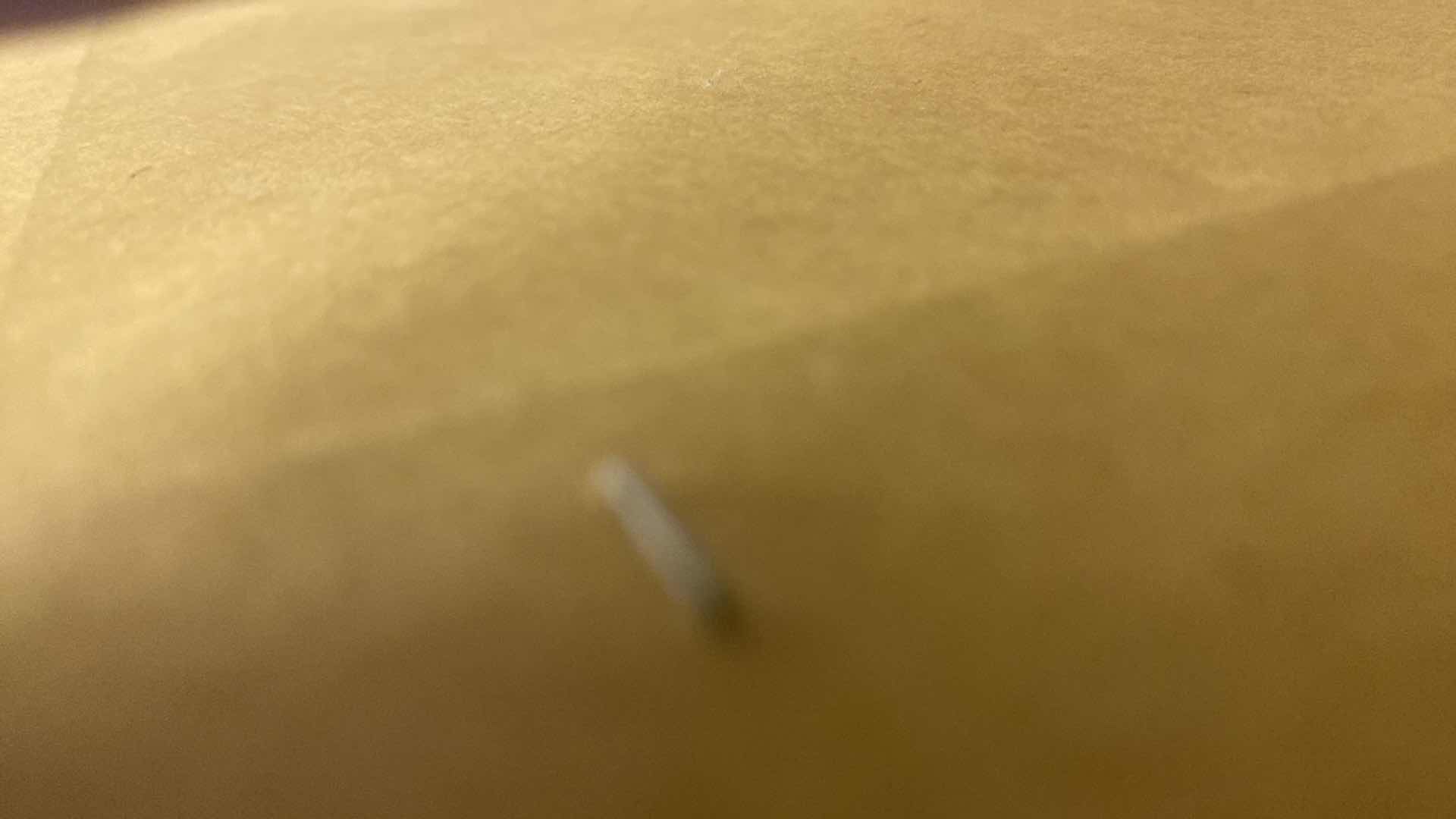 Photo 1 of FRAMED BOTANICAL IN POT PRINT ARTWORK 30 1/2” X 30 1/2”