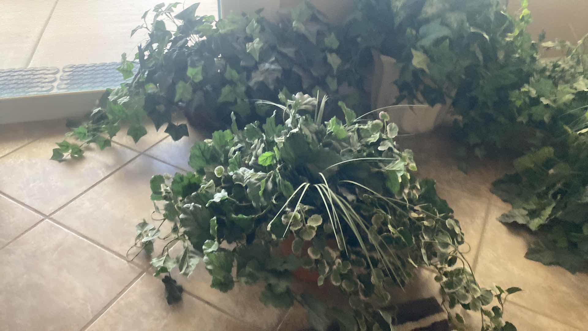 Photo 1 of 6-ARTIFICIAL PLANTS TALLEST 30”