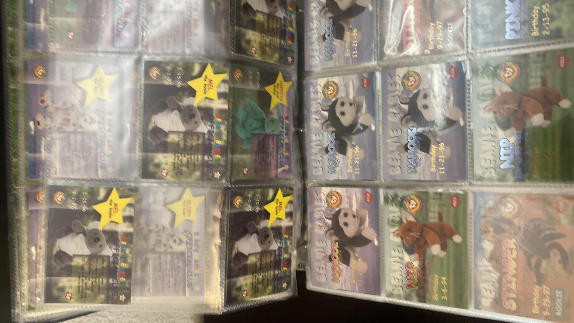 Photo 1 of BEANIE BABIES COLLECTOR CARDS IN BINDER
