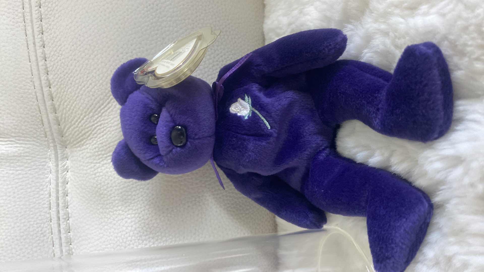 Photo 1 of 2 PRINCESS, BEAR, BEANIE BABIES, AND ONE DISPLAY CYLINDER