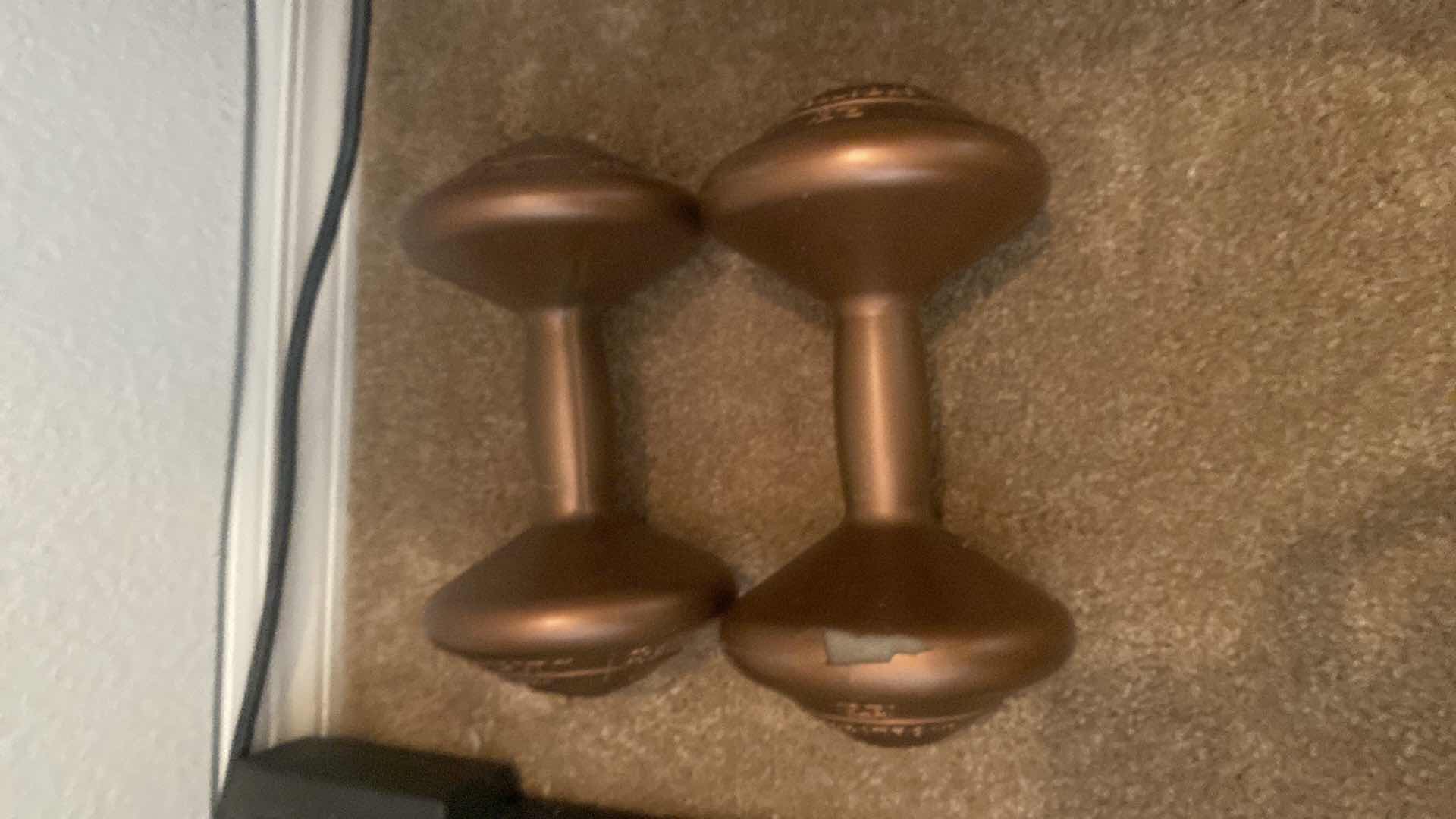 Photo 1 of PAIR OF DP SUPERSTAR 6.6 POUND WEIGHTS