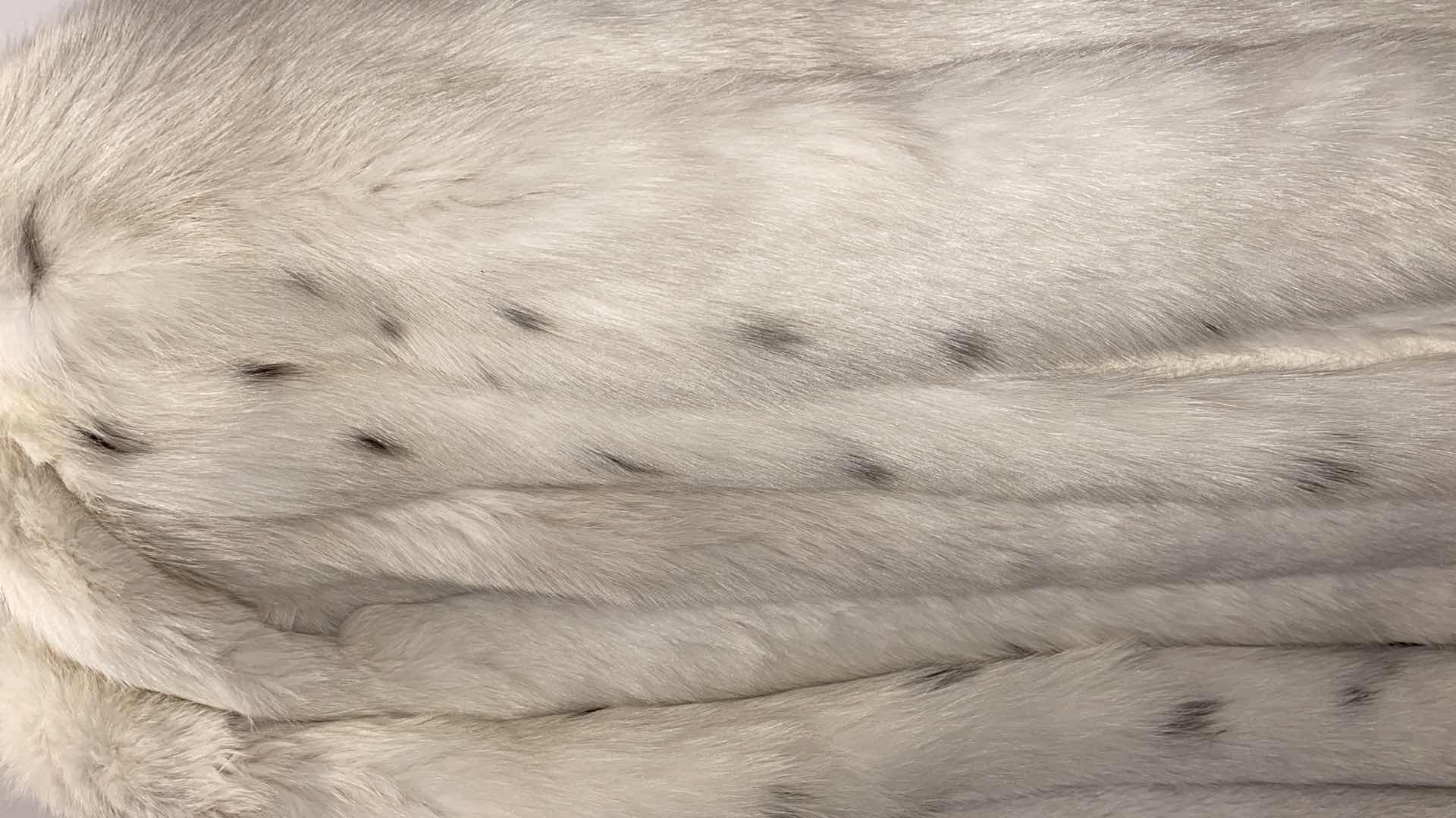 Photo 1 of SAGA FOX FUR COAT APPROX VALUE $700