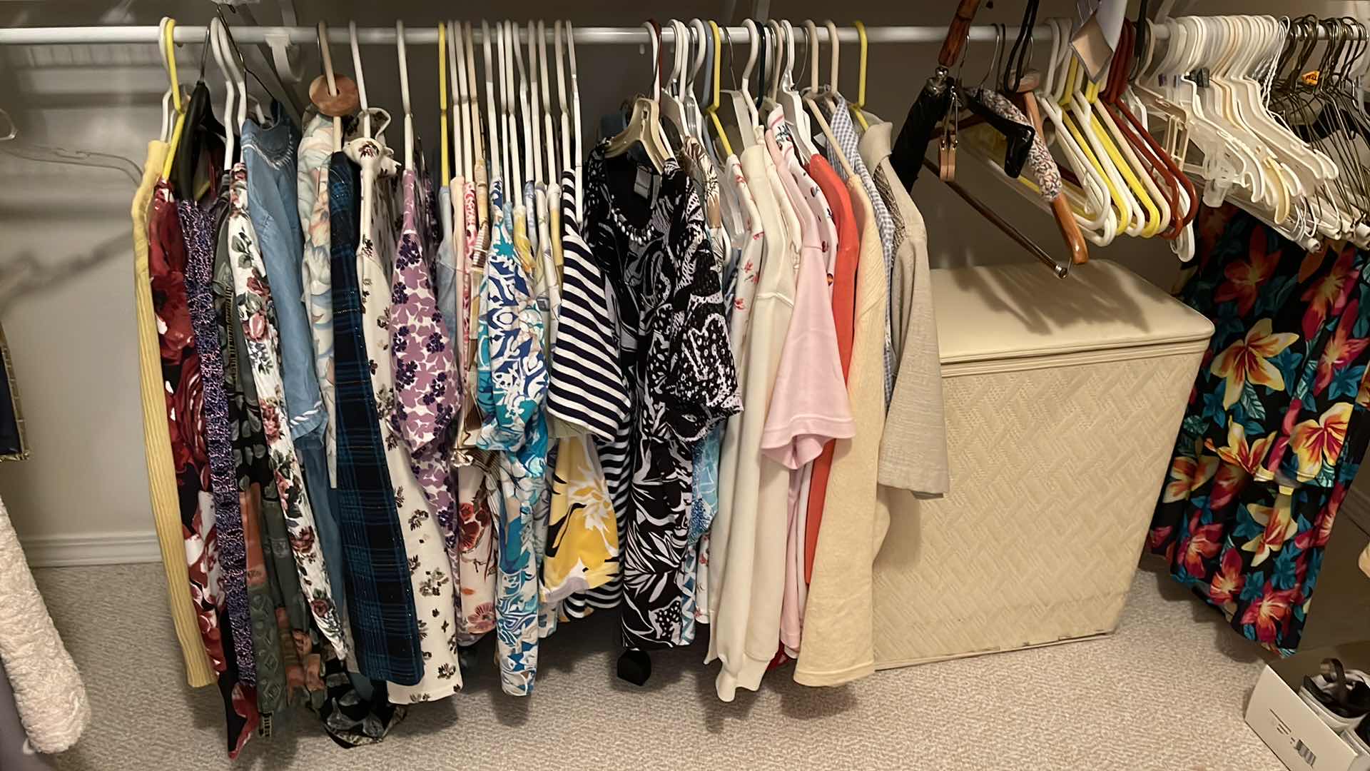 Photo 1 of CONTENTS OF CLOSET