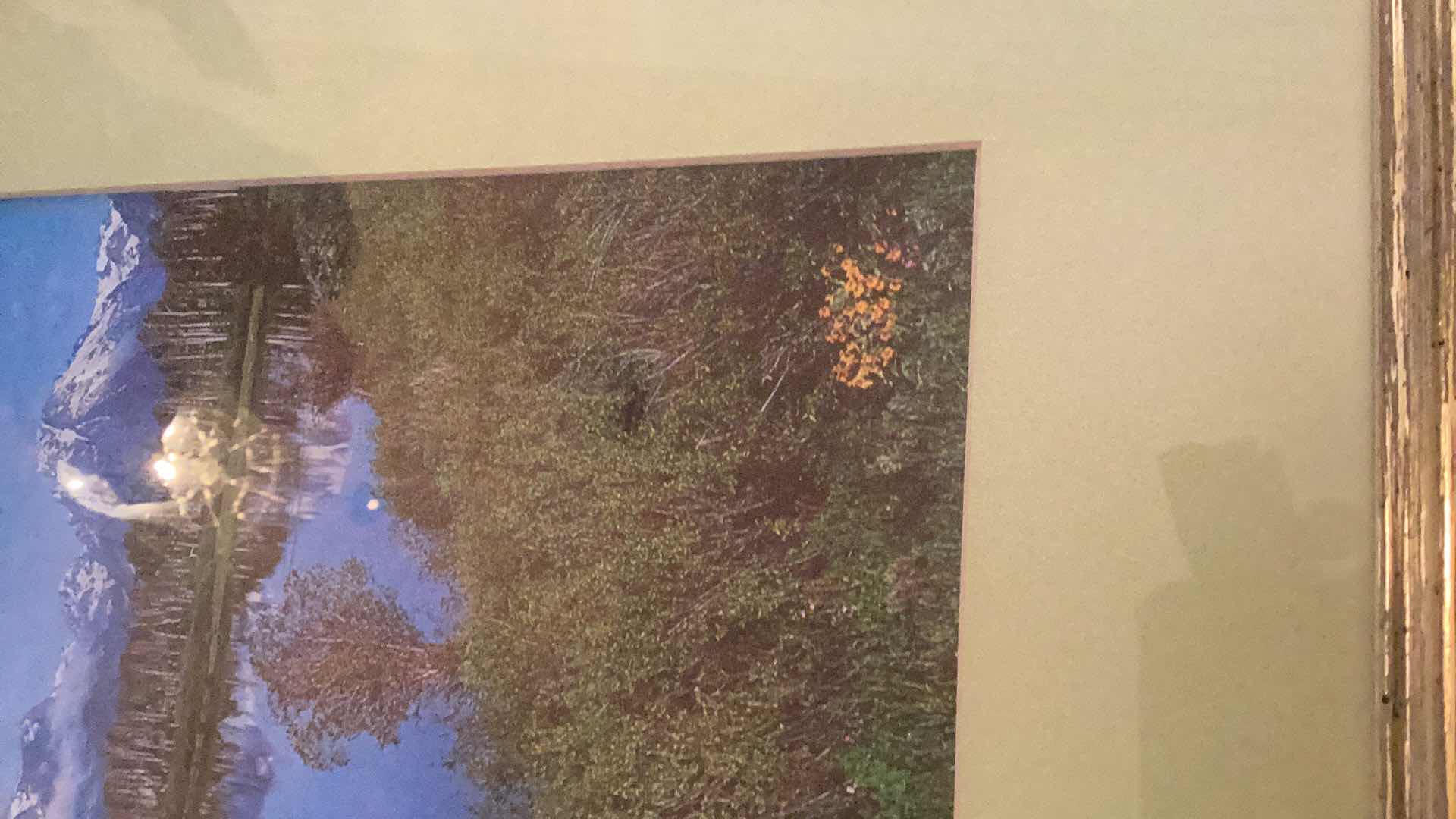 Photo 1 of FOREST INSPIRED PICTURES  TALLEST 17”