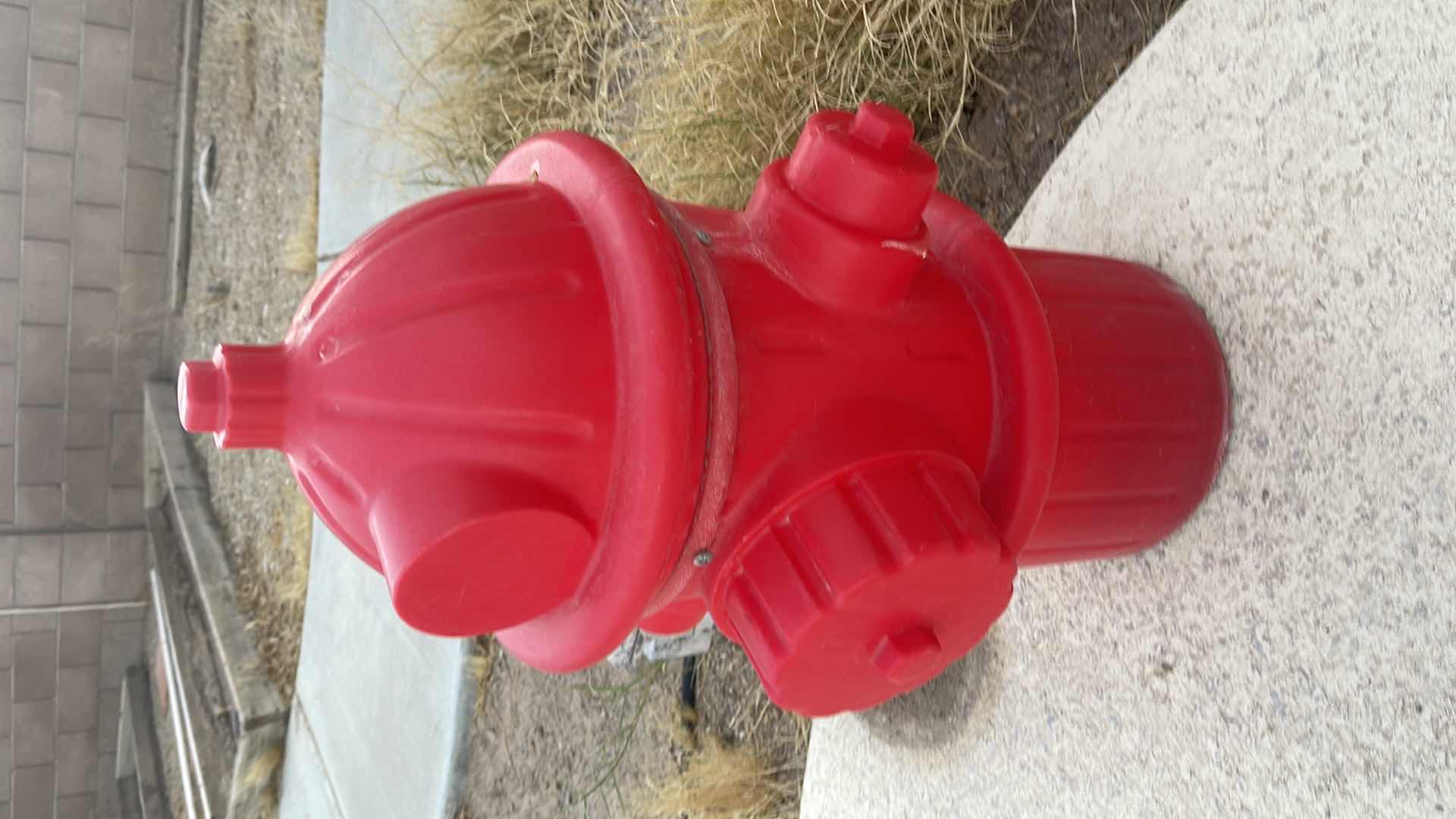 Photo 1 of DOG FIRE HYDRANT