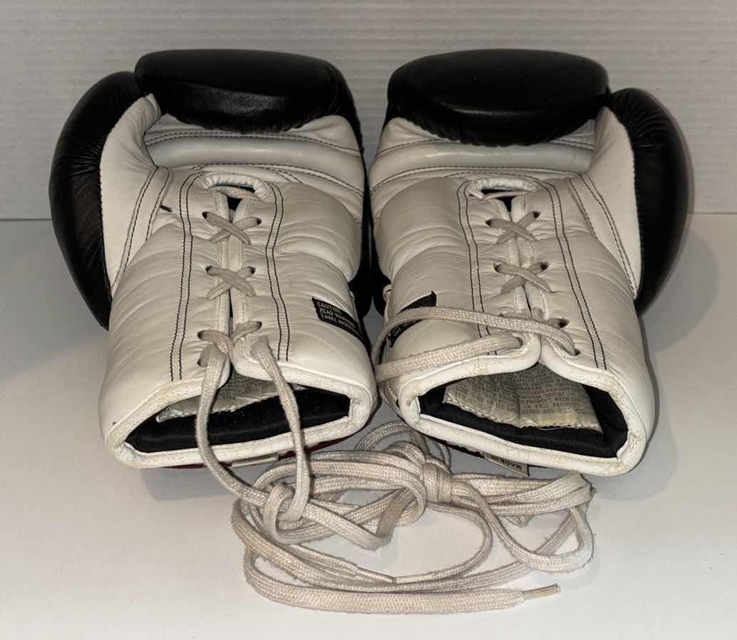 Photo 1 of RINGSIDE BOXING GLOVES MFTG-14