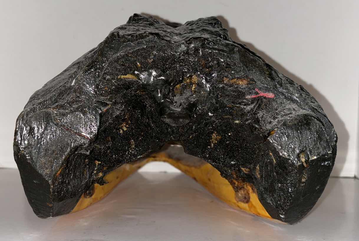 Photo 1 of CARVED WOOD ALLIGATOR HEAD 9.5” x17” H10”