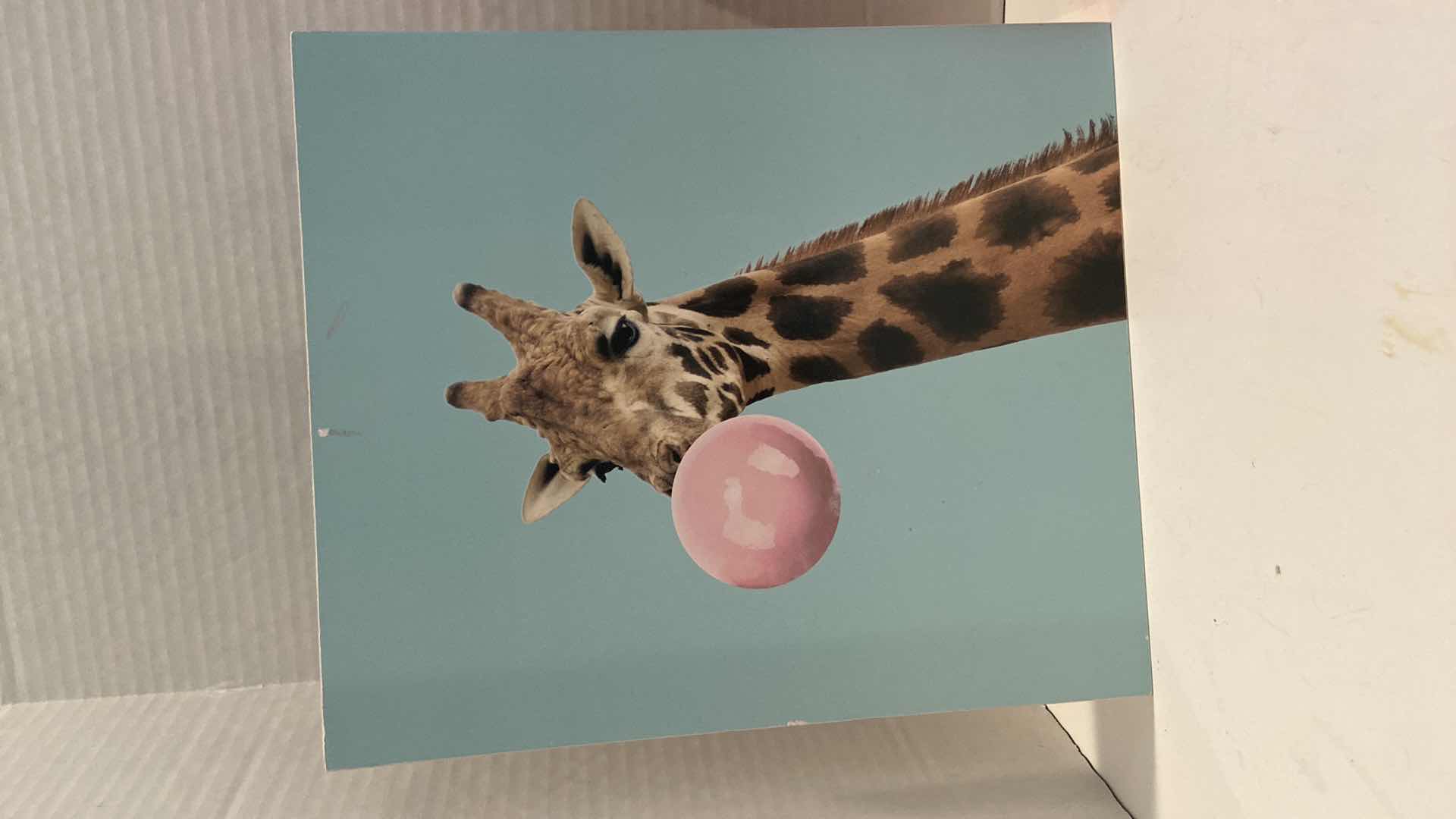 Photo 3 of HOME DECOR GIRLS