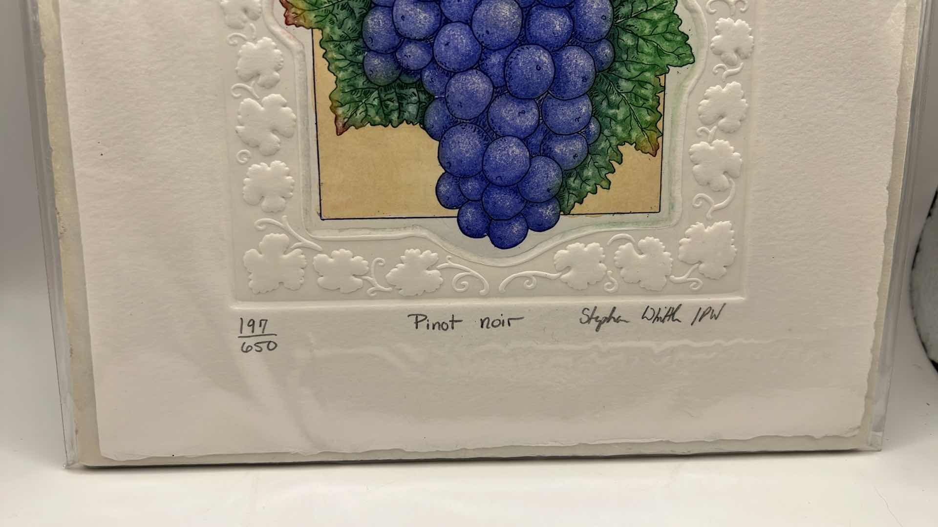 Photo 1 of LIMITED EDITION SIGNED STEPHEN WHITTLE - ‘PINOT NOIR’ GRAPE PRINT 6.5” x 7.5”