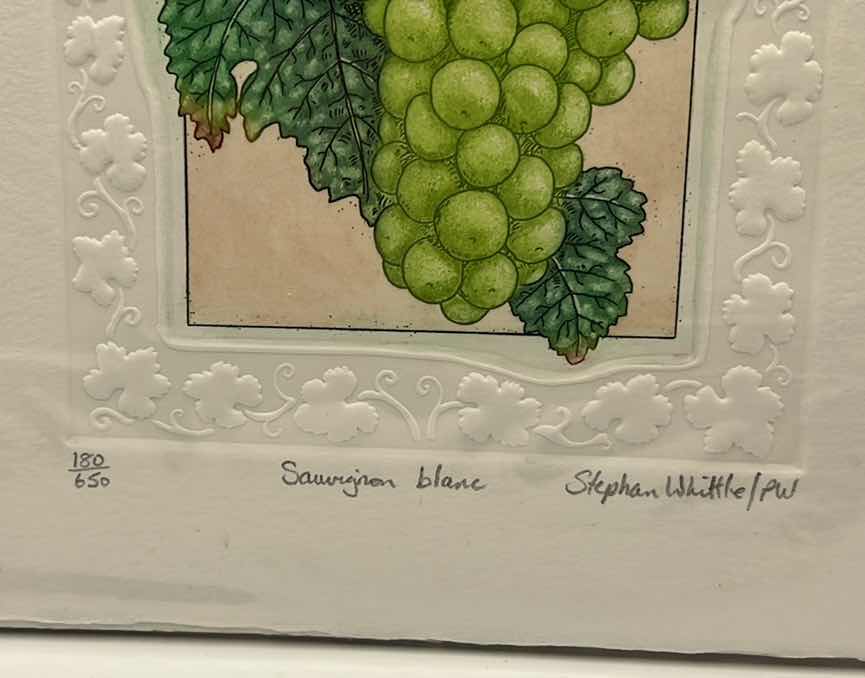 Photo 1 of ORIGINAL SIGNED AND NUMBERED PRINT - STEPHEN WHITTLE - SAUVIGNON   BLANC 7.5” x 7.5