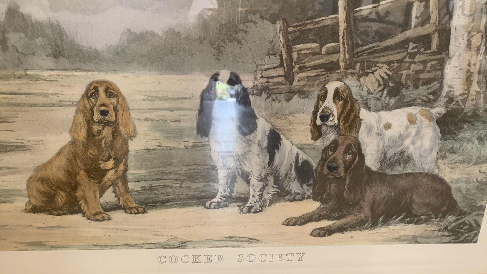 Photo 1 of COCKER SOCIETY PRINT 31” X 26”