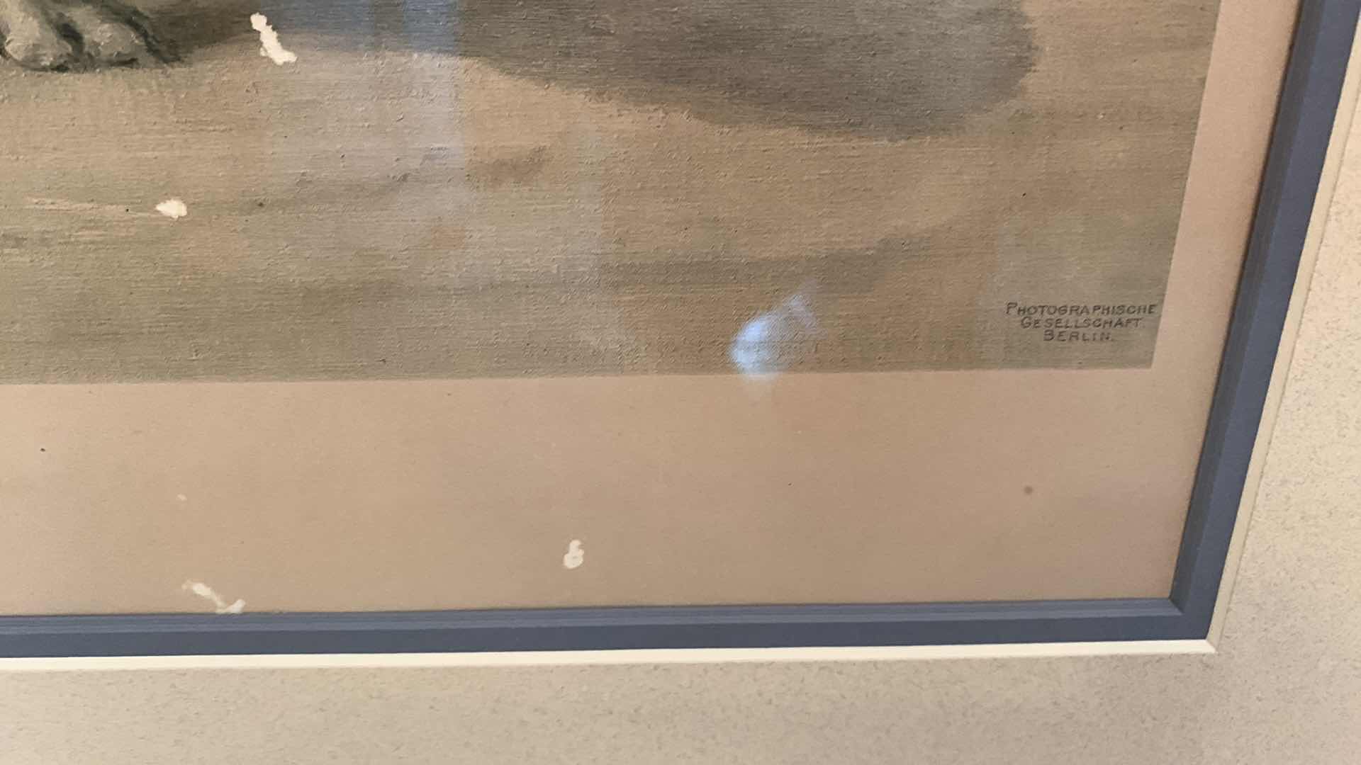 Photo 1 of ORIGINAL PRINT SIGNED BY MAUD EARL 1909 24” X 21”