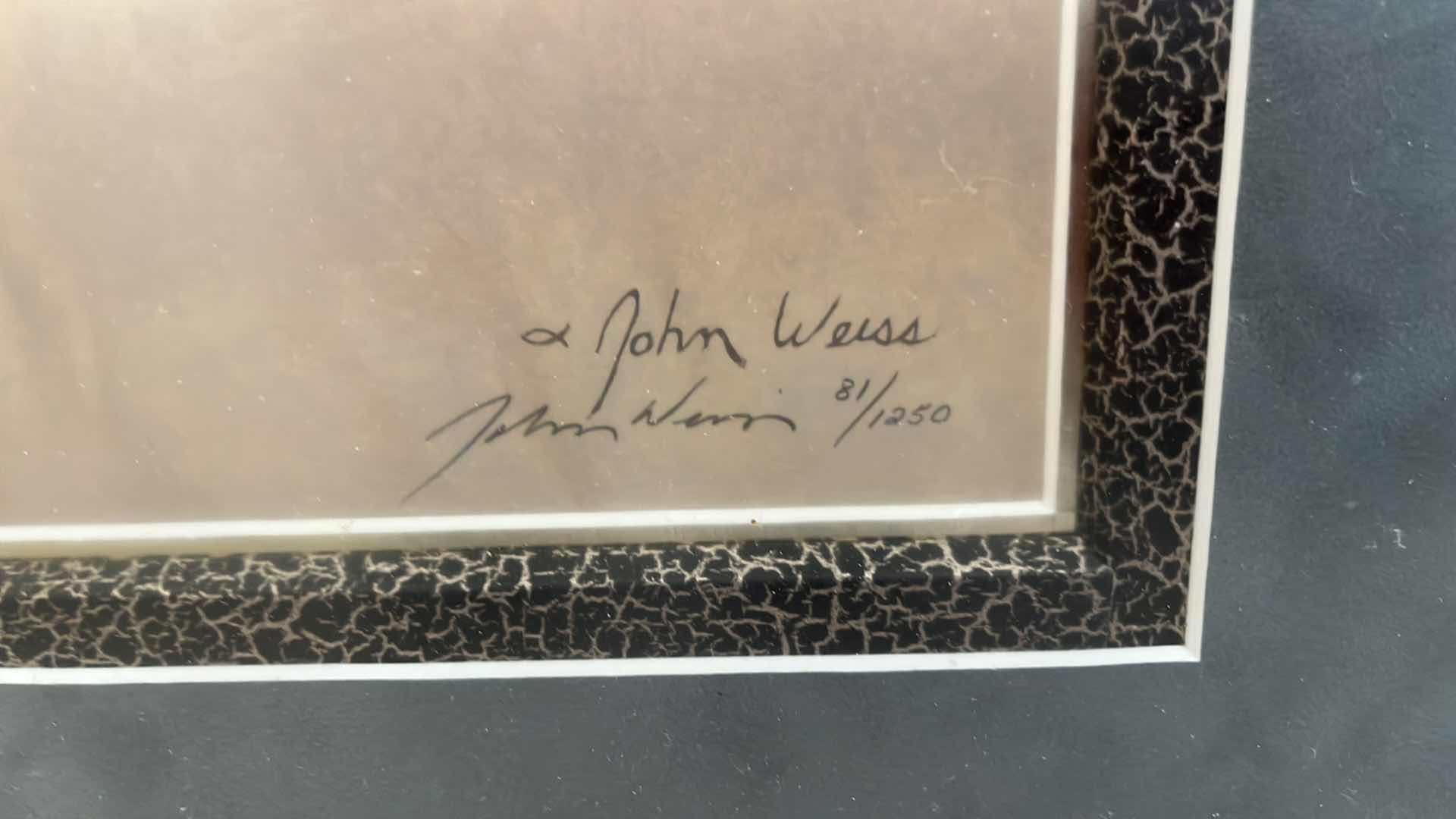 Photo 1 of SIGNED POODLE PRINT BY JOHN WEISS 81/1250, 22” x 20”