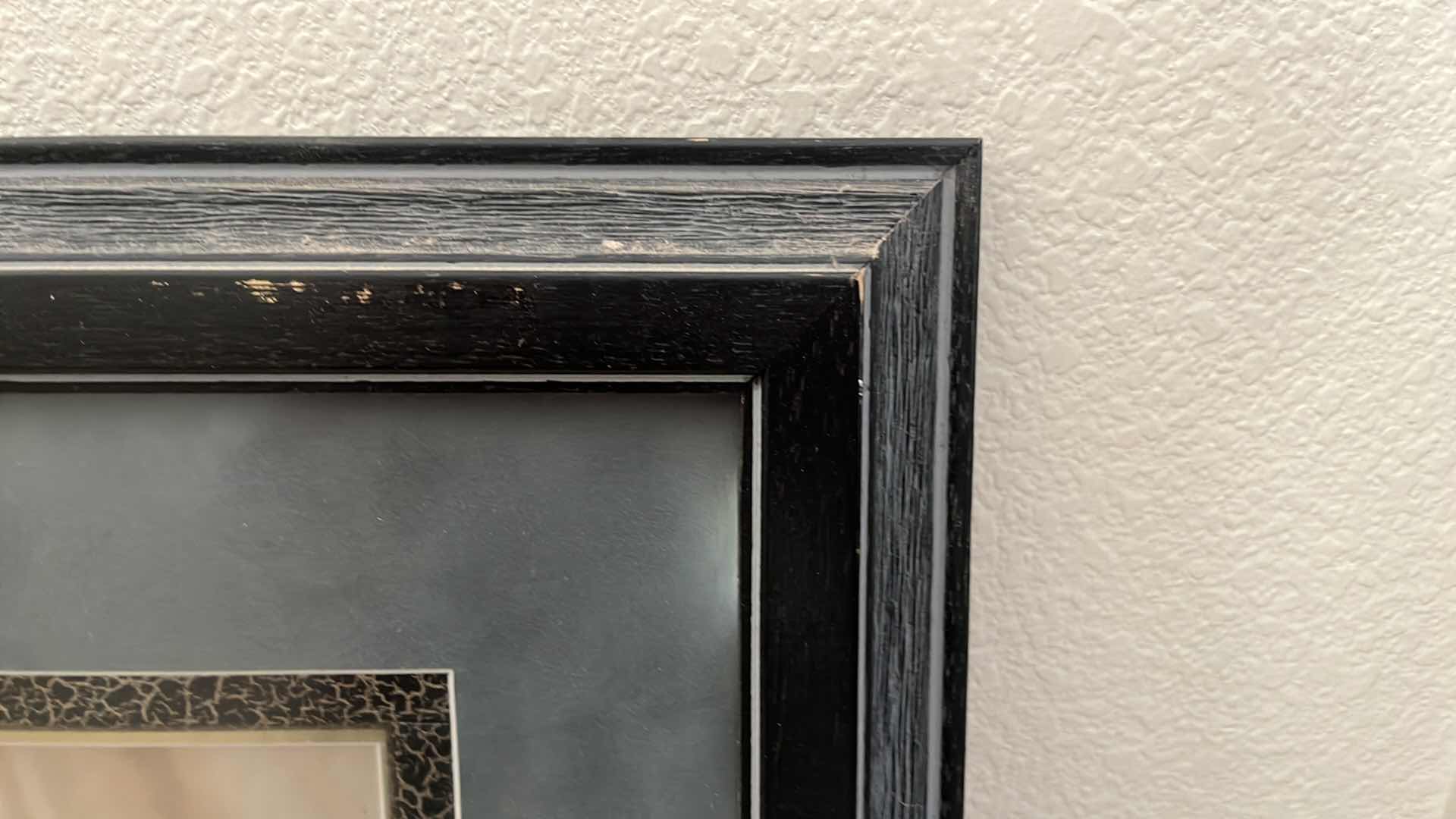 Photo 1 of SIGNED POODLE PRINT BY JOHN WEISS 81/1250, 22” x 20”