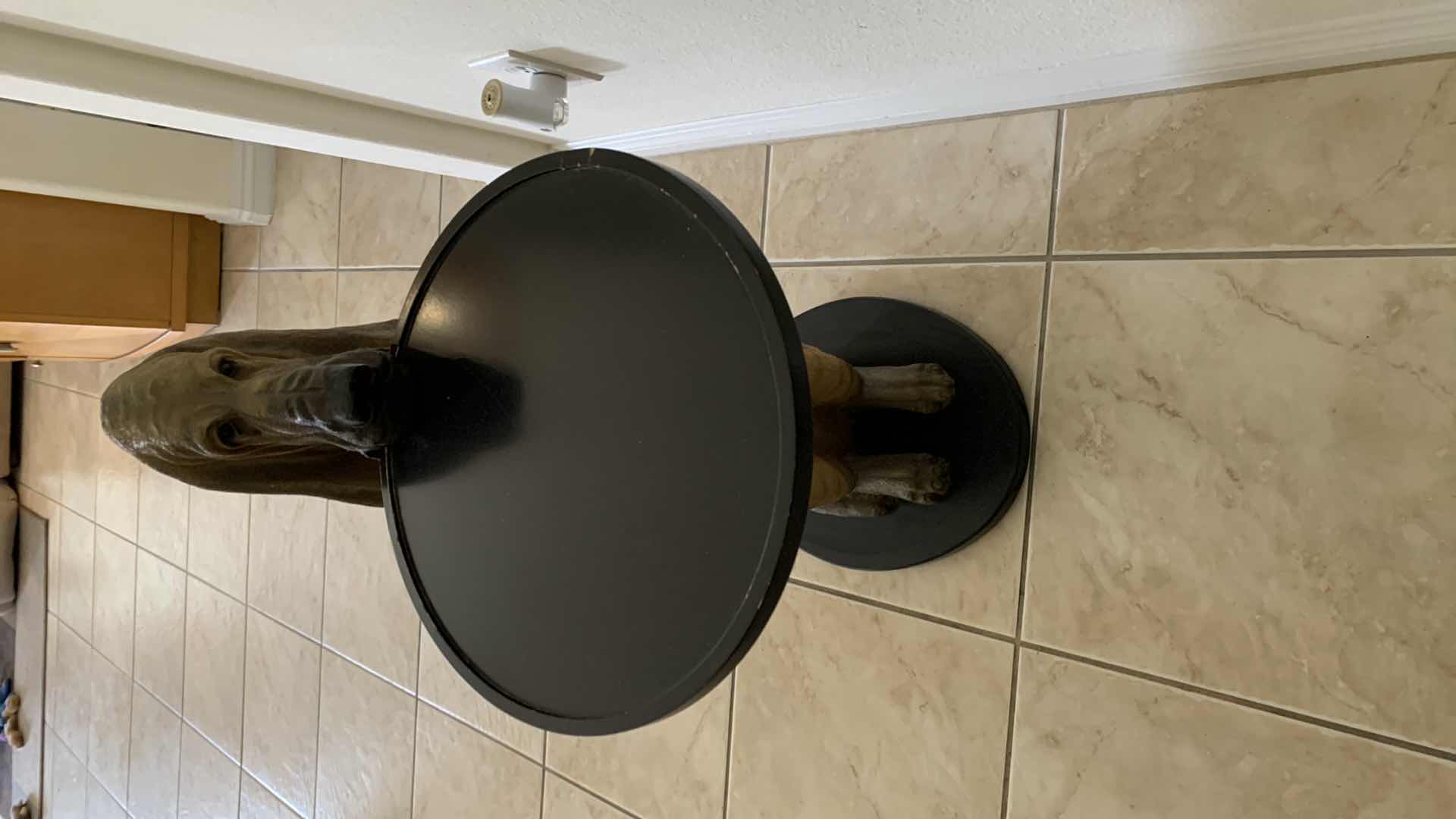 Photo 1 of BLOODHOUND DOG WITH SERVING TRAY 33” TALL