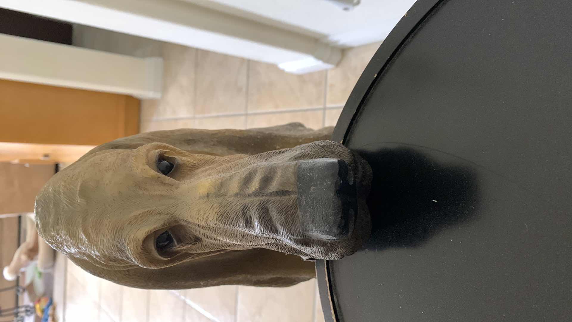 Photo 4 of BLOODHOUND DOG WITH SERVING TRAY 33” TALL