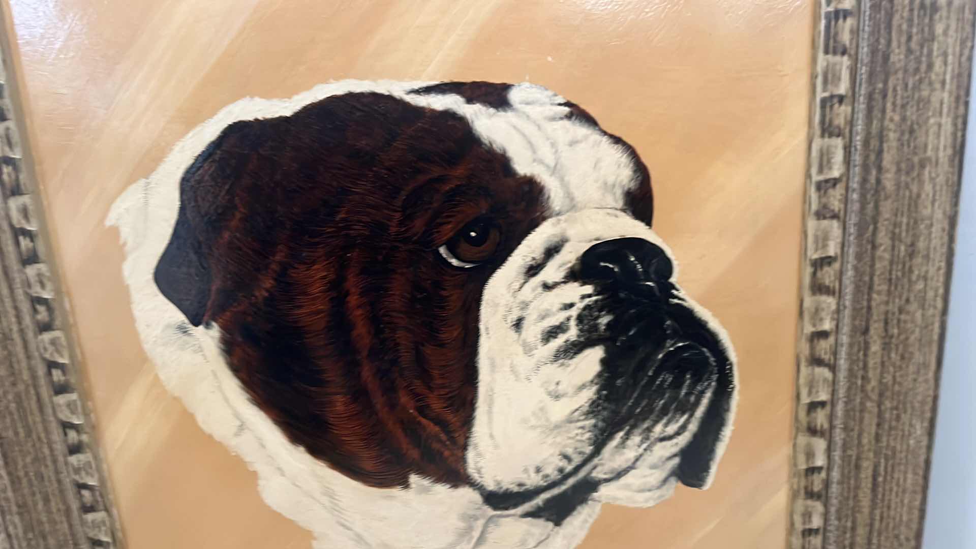Photo 1 of BULLDOG PAINTING 15” X 19”
