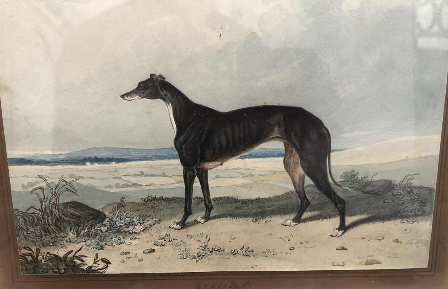 Photo 2 of GREYHOUND FRAMED PAINTING 17.5”X16”