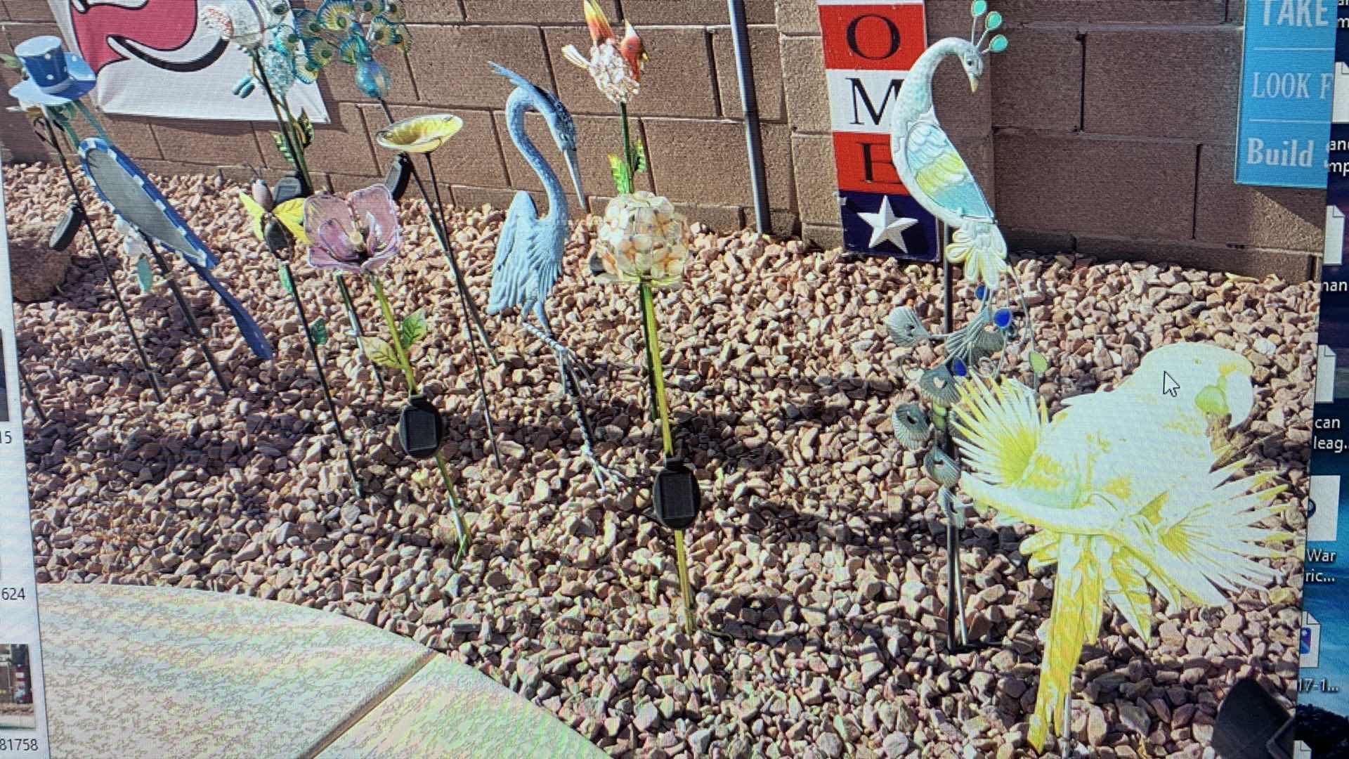 Photo 1 of BACKYARD DECOR PEACOCKS AND CRANES