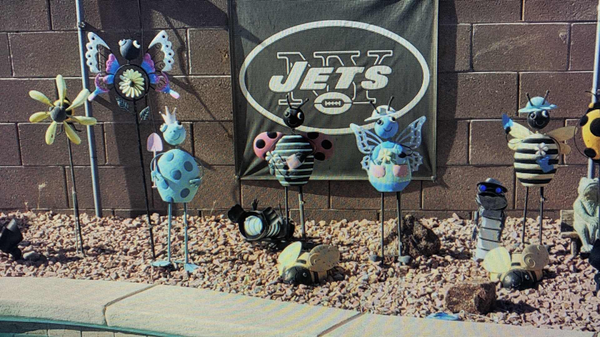 Photo 1 of BACKYARD DECOR BEETLES AND BEES