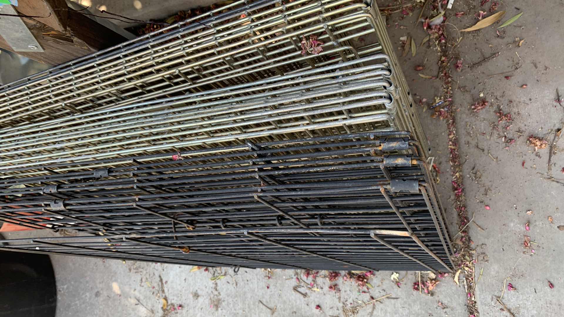 Photo 1 of THREE DOG CAGES 24” SQUARE