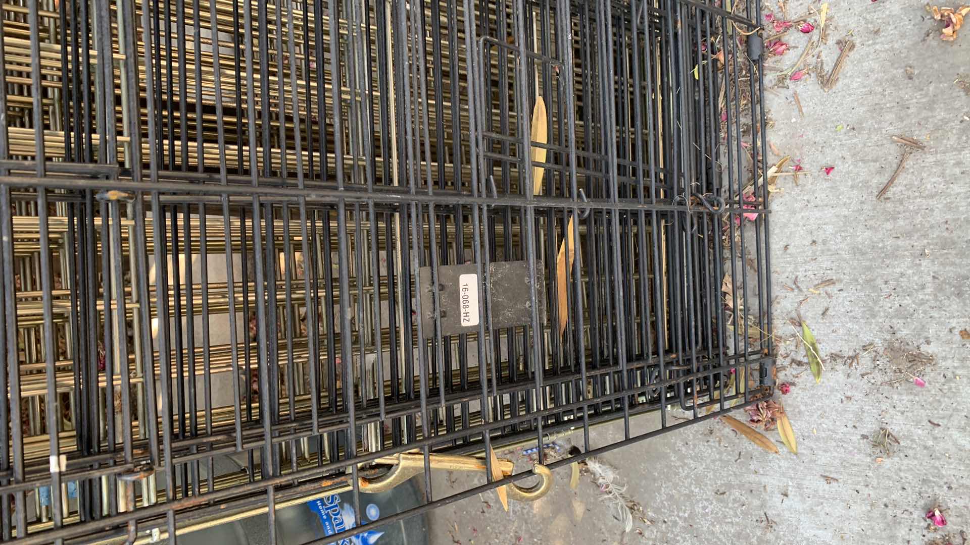 Photo 1 of THREE DOG CAGES 24” SQUARE