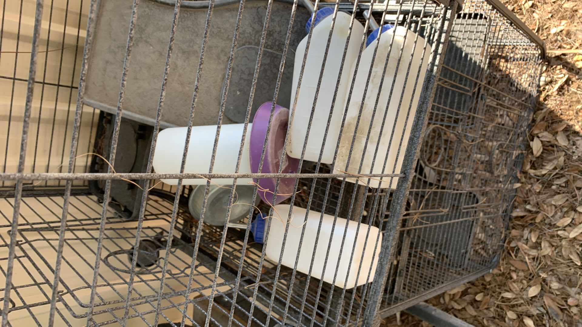 Photo 1 of PAIR OF ANIMAL HAMSTER CAGES 26” X 17” H 36”