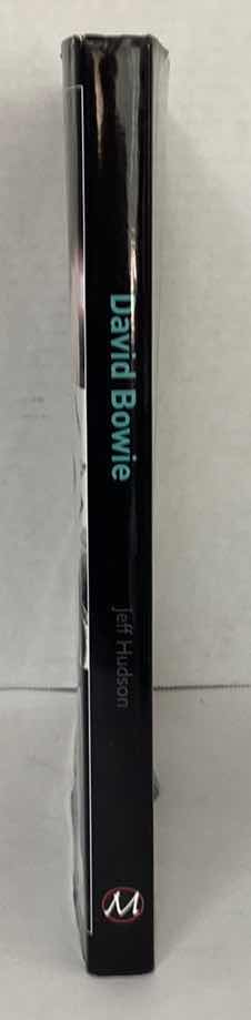 Photo 1 of DAVID BOWIE JEFF HUDSON
