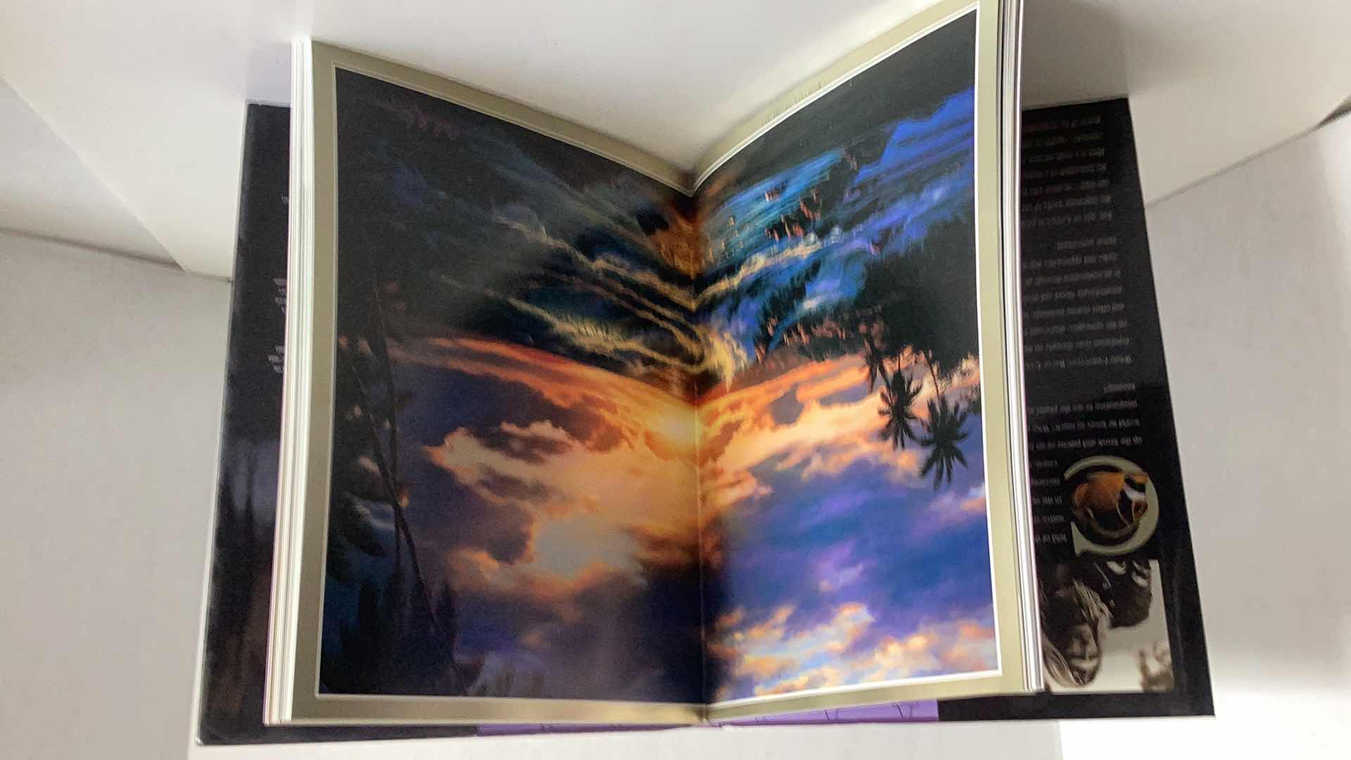 Photo 1 of THE ART OF LASSEN BOOK