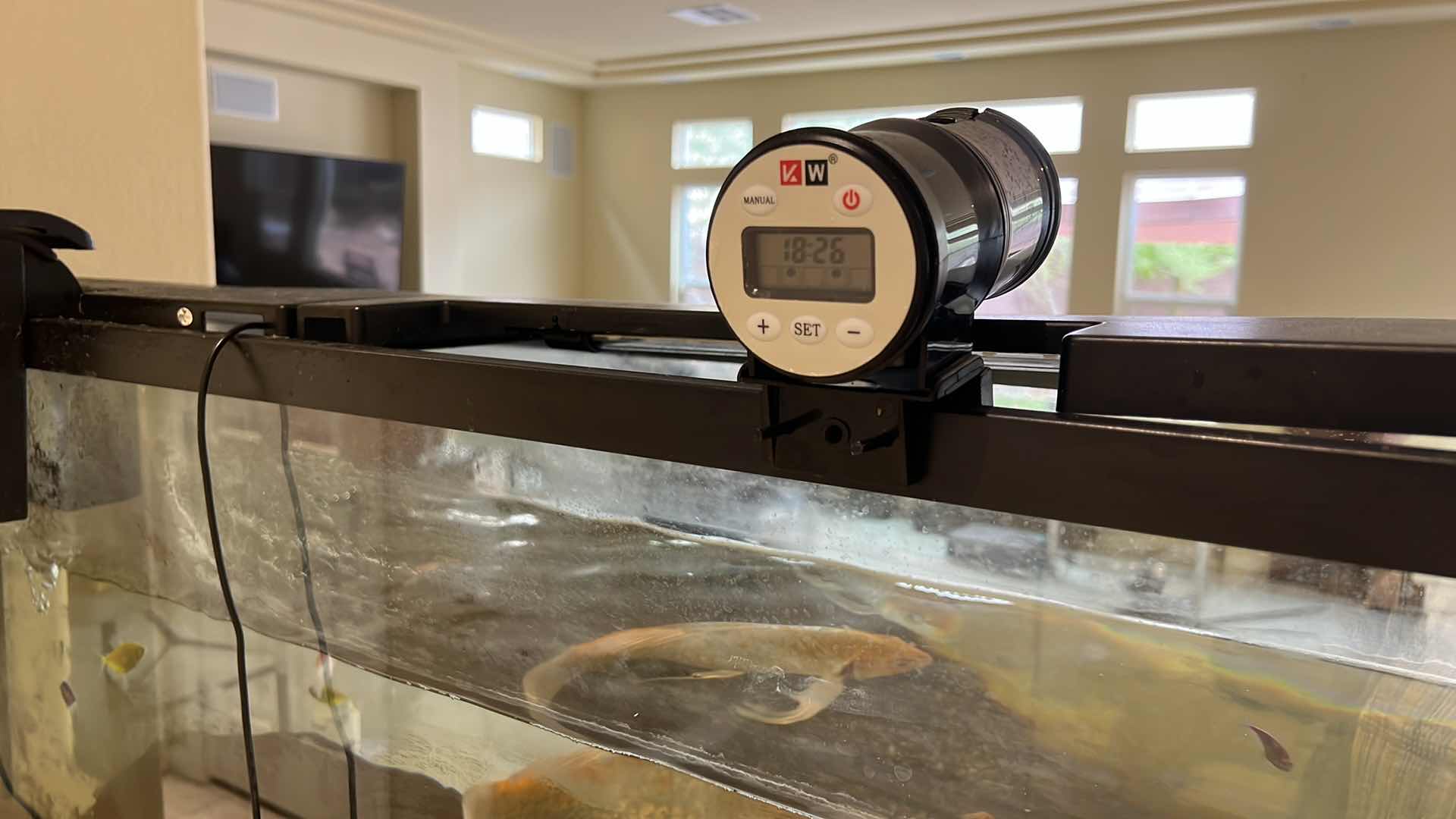 Photo 1 of LIVE FISH TANK W LIVE FISH (SOME SUPPLIES INCLUDED)-BUYER TO REMOVE 