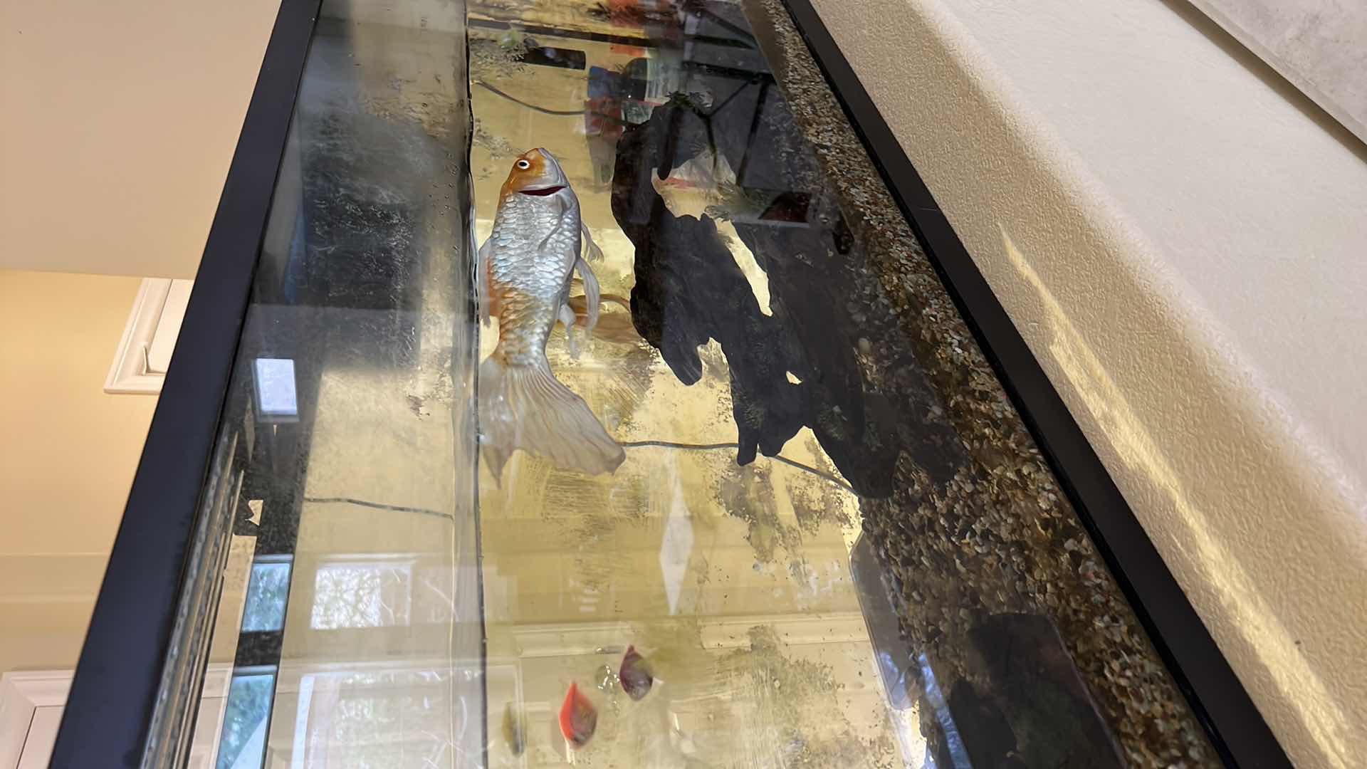 Photo 1 of LIVE FISH TANK W LIVE FISH (SOME SUPPLIES INCLUDED)-BUYER TO REMOVE 