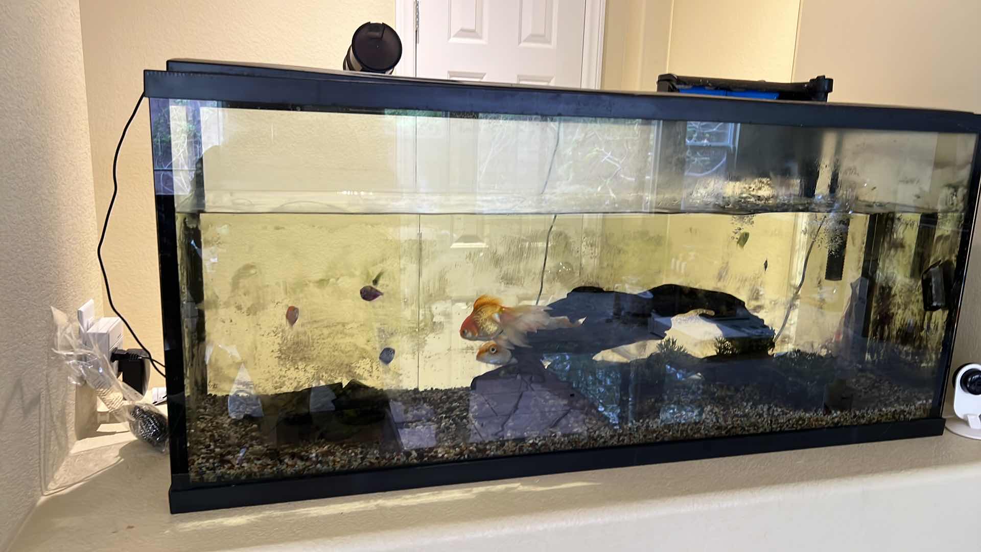 Photo 1 of LIVE FISH TANK W LIVE FISH (SOME SUPPLIES INCLUDED)-BUYER TO REMOVE 