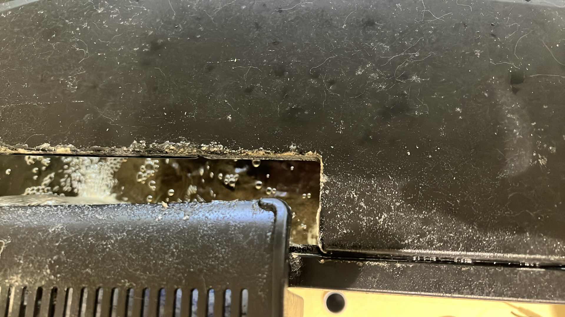 Photo 1 of LIVE FISH TANK W LIVE FISH (SOME SUPPLIES INCLUDED)-BUYER TO REMOVE 