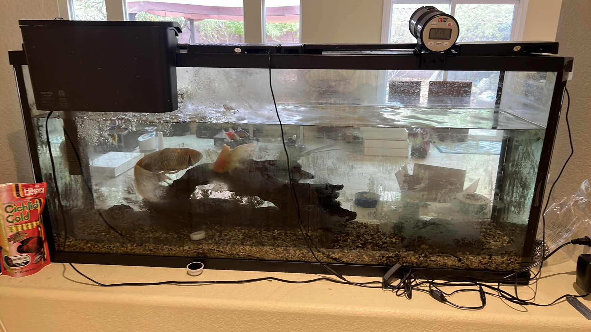 Photo 1 of LIVE FISH TANK W LIVE FISH (SOME SUPPLIES INCLUDED)-BUYER TO REMOVE 