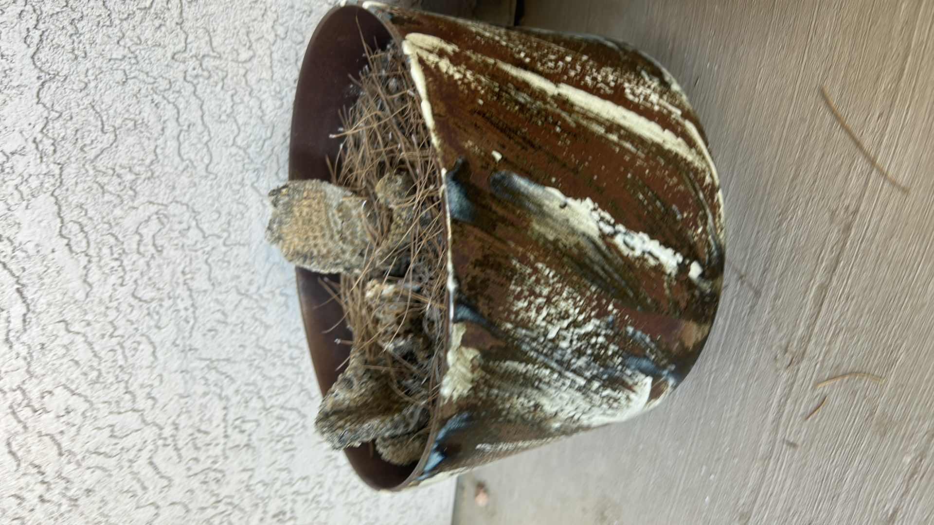 Photo 2 of OUTDOOR POTTERY LARGEST 11” x 8 1/2