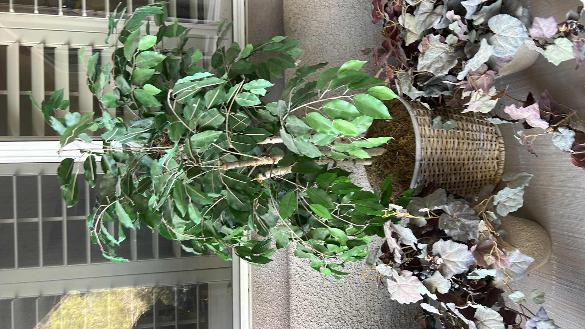 Photo 1 of 3 FAUX PLANTS TALLEST 53"